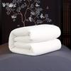 Yiyiai 6lb Cotton Quilt Insert