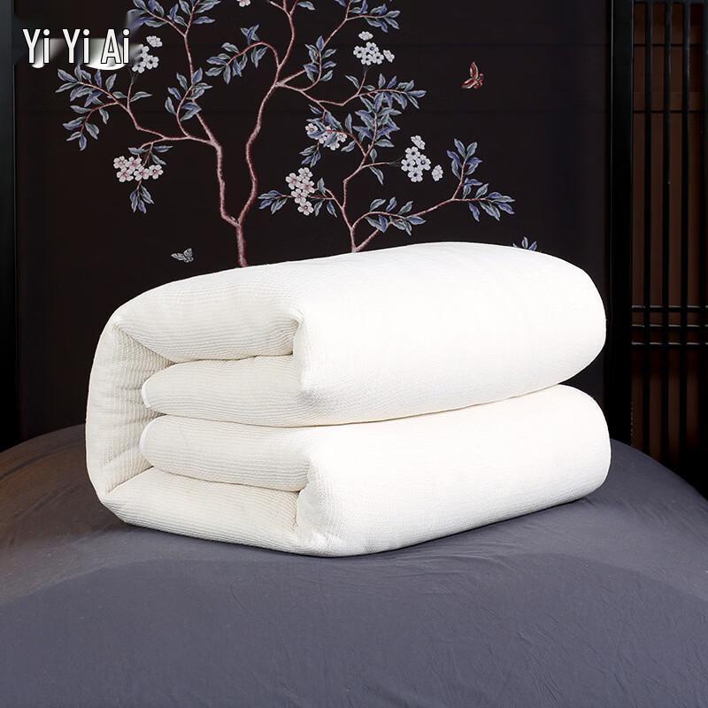Yiyiai 6lb Cotton Quilt Insert