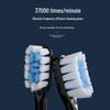 Enlluean Ultrasonic Electric Toothbrush CN Plug (adapter Included)