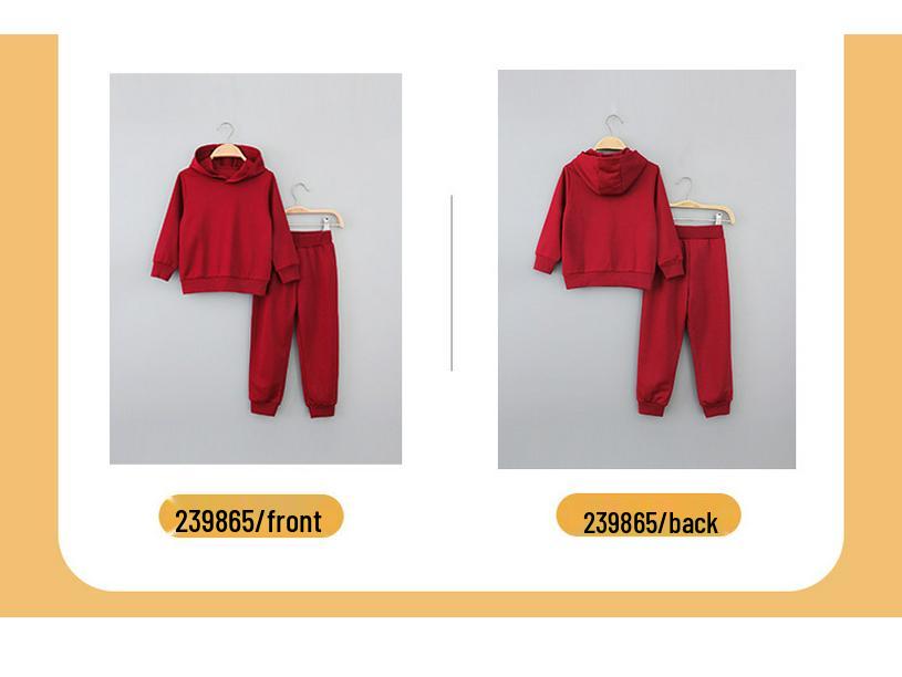 Kinder Einfarbig Langarm Kapuzenpullover und Hose Set - Herbst/Winter Freizeitkleidung