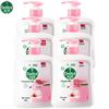 Dettol Moisturizing Antibacterial Hand Wash (6 X 450g)