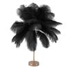 Decorative Table Lamp 30PCS Feathers USB Rechargeable Light Touch Control Desk Light Built in Battery