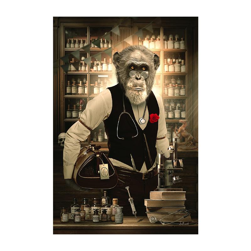 

Мавпочка Доктор і малюнок Фантастичне настінне мистецтво Друк на полотні Антропоморфні тварини Плакат для домашнього декору у вітальні Куадрос 50x70cm No Framed