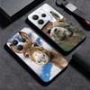 Funny Donkey Animal Soft Phone Case for Xiaomi Redmi Note 12 13 14 15 Pro Plus 11 12S 11S 11T 10 4G Black Cover Back Shell