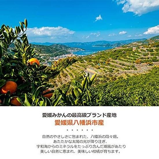 Miyamoto Orange Garden Jelly Mandarin Gift Ehime Product Agar 100g Pouch Assortment No Coloring Fragrance Domestic Household Use Fruit Jule Chemical