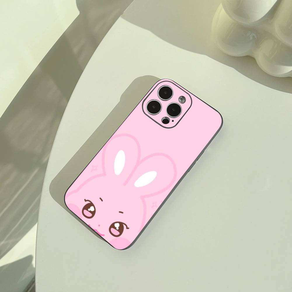 Cute-A-N-I-T-E-E-Z Phone Case For iPhone 17,16,15,14,13,12,11 Pro Max,16/15/14Plus,XS Soft Black Cover