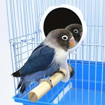 Kuş – Kuşlar için oyuncaklar