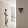 Ornate Corbel Carved Hardware for Living Room