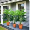 1PC Outdoor Artificial Green Plants, High Simulation Palm Tree Sets, Indoor/outdoor Use, Excluding Flower Pots. KTY