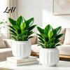 Durable Plant Pot Self Watering Pots for Indoor Plants Plastic Planter with Drainage Container Holes Small Flower Houseplants African Violets,