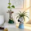 Decorațiuni pentru casă – Vaze