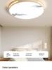 2025 LED Ceiling Light: Bright Core Design for Living, Bedroom, Study, and Dining Rooms, Wrought Iron Fixture