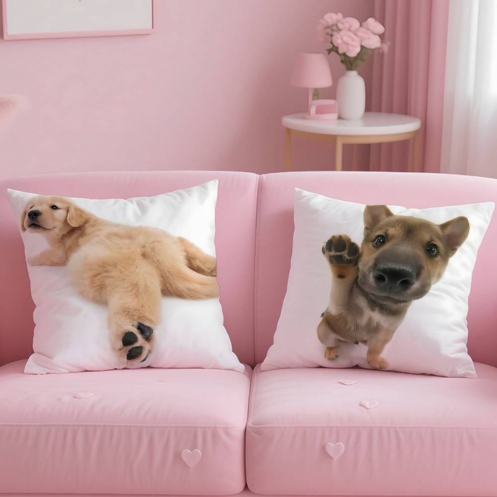 Kwaii katt hund Kuddfodral Kvalsterfritt Kudde Osynlig dragkedja Silkeslen kort plysch Soffkuddfodral