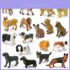 Modelos de Perros Estáticos de PVC Realistas de 18 Piezas con Basset Hound Gran Danés Labrador y Más Ideales Para Amantes de las Mascotas y Coleccionistas
