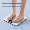 Xiangshan Smart Body Composition Scale (CN Version)