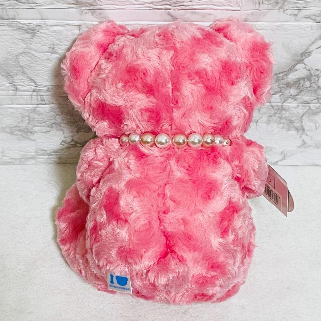 [USED] Kyoto Limited Yatsuhashi Bear, Local Bear, Plush Toy, Teddy Bear, Souvenir