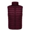 2023 Autumn/Winter Men's Plus Size Lightweight Slim Fit Down Vest with Stand Collar