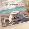 Cat Pattern Optical Illusion Doormat Non-slip Bedroom Door Rug Bathroom Carpet  Home Decor