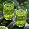 Guhong Green Tea