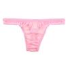 La-Pomme Airy See-Through NHK Fabric Shiny T-Back Thong Underwear Made In Japan