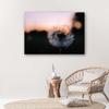Canvas Print Dandelions Sunset