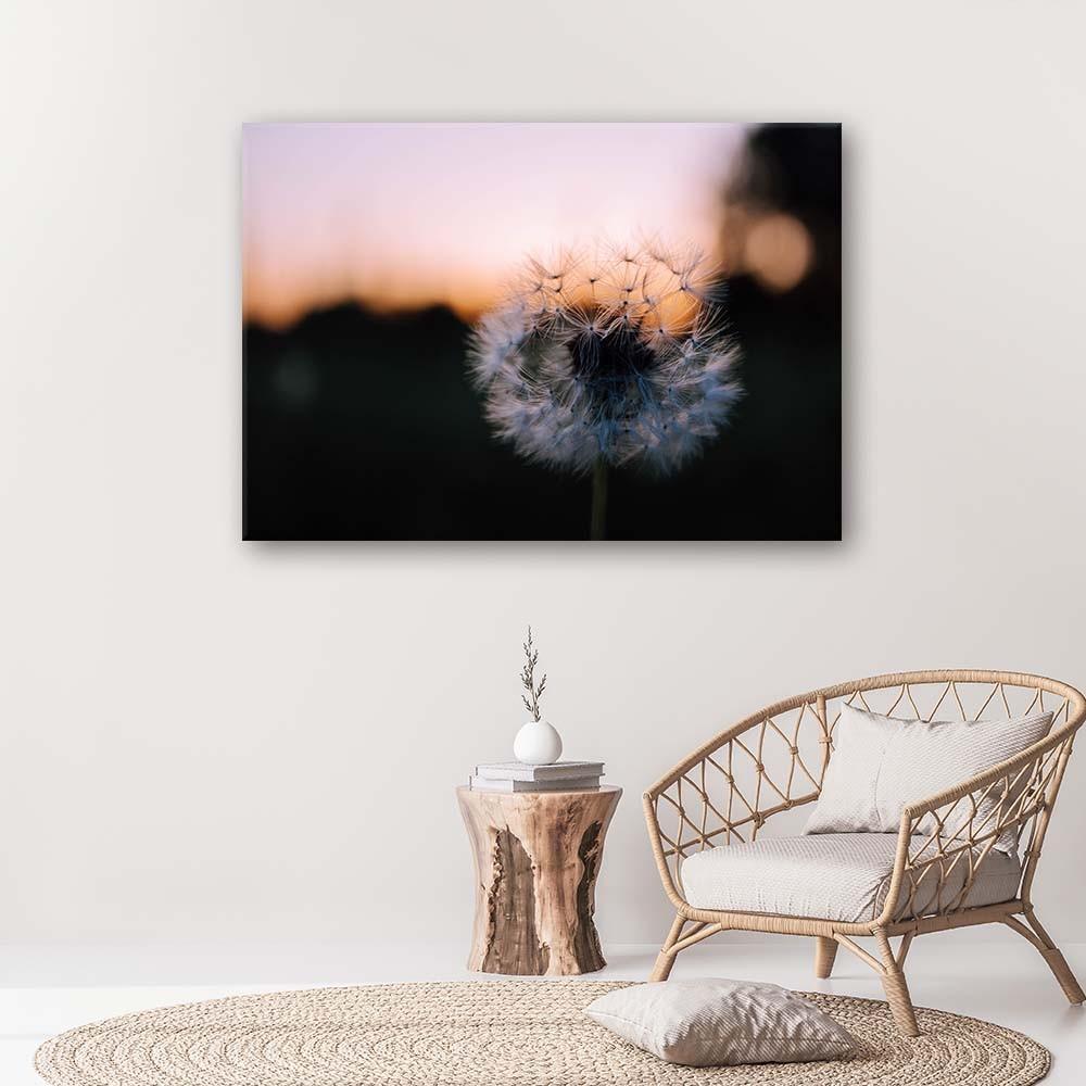 Canvas Print Dandelions Sunset