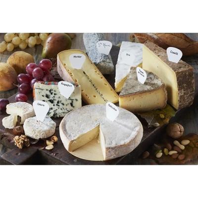 Cheese Markers - CHEVALIER DIFFUSION - X16 - Plastic - White - 5 Cm X 3.5 Cm