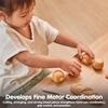 PLANTOYS Brotsortiment 3628
