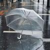 Automatic Umbrella with One-Touch Full Retraction, Transparent Long-Handle Manual Umbrella for Men and Women, High Aesthetic Value, 8-Rib Korean