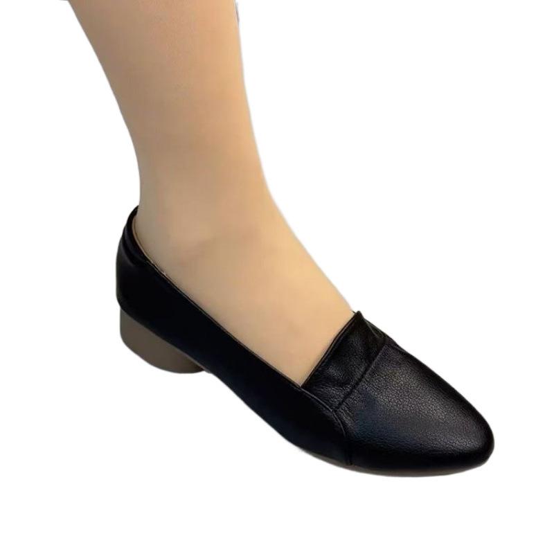 Coarse heel single shoes women's 2024 spring and autumn new low heel mother shoes low heel pointed work shoes women's shoes board shoes