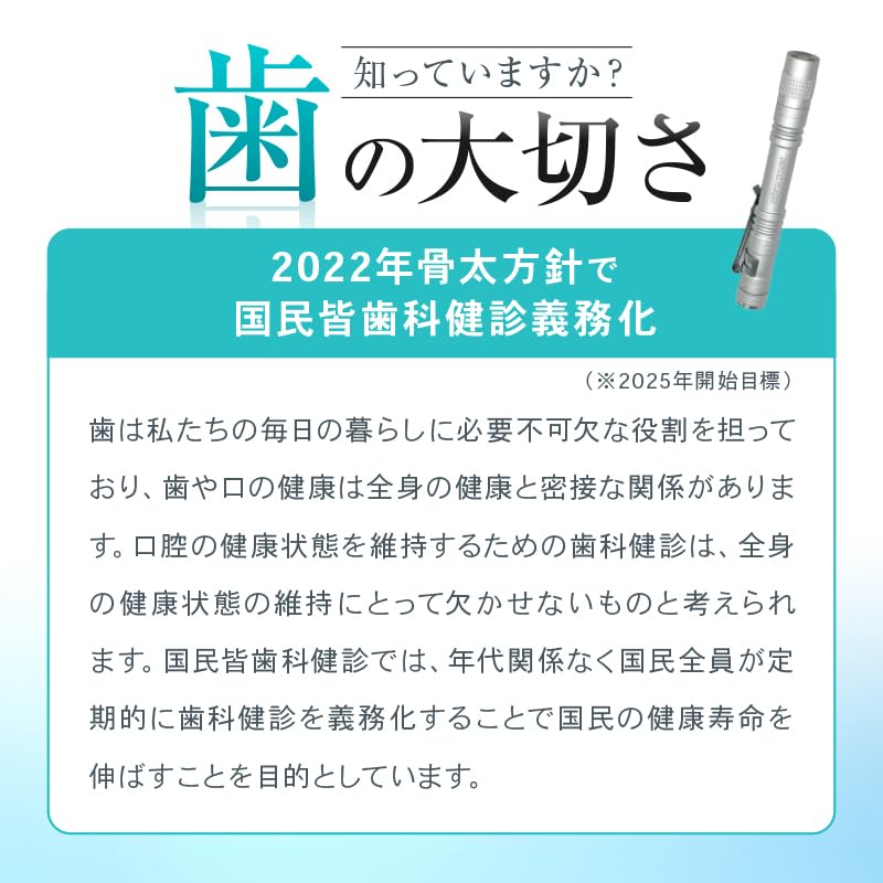 [Identify hidden plaque at a glance] OMNI Dental Plaque Check Light (Black)