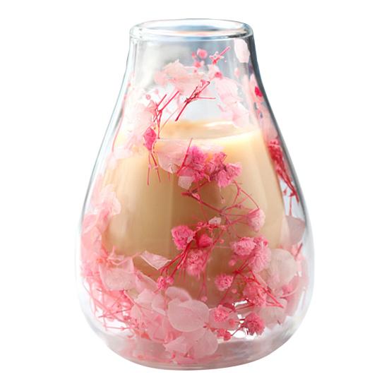 Mini Glass Decorative Bottle with Dried Flowers Compact Transparent Floral Ornament for Desk Bedside Window Sill Double Wall Hydroponic Vase Home