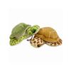 TST Advance Lil'Bean Sea Turtle KC Green 10202