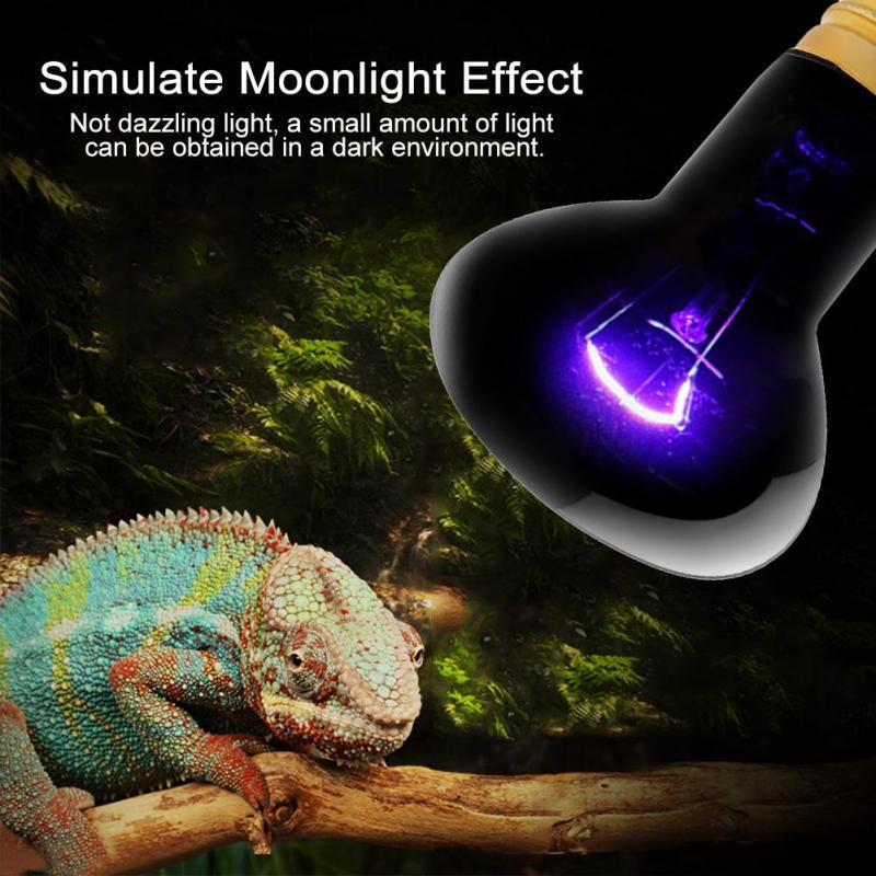 snake night light