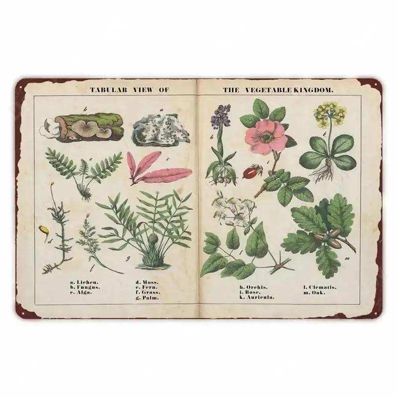 Retro Vegetable Plants Poster Vintage Fruits Metal Tin Sign Cauliflower Wall Art Sign Garden Kitchen Farm Flowers Plate Decor
