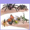 Jungle Rainforest Insect Butterfly Poison Spider Pvc Model Set With Realistic Wildlife Display For Nature Enthusiasts