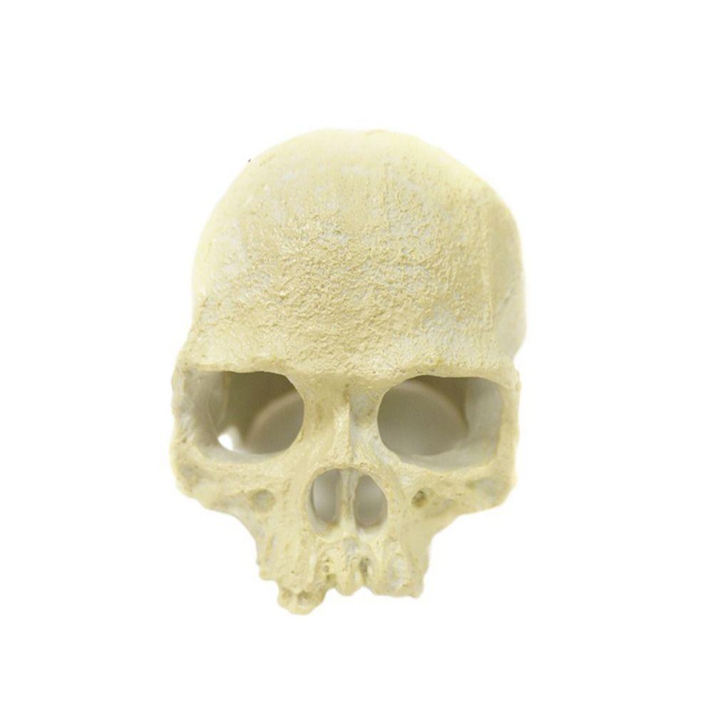 

Realistic Skull Head Statue Simulation Head Bone Model Skull Fish Hideout Landscape Style A
