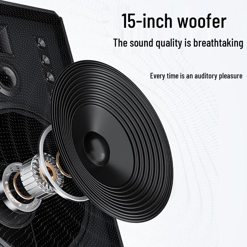 Newmine N528 15-inch Portable Trolley Bluetooth Speaker with Dual Mics (CN Version)