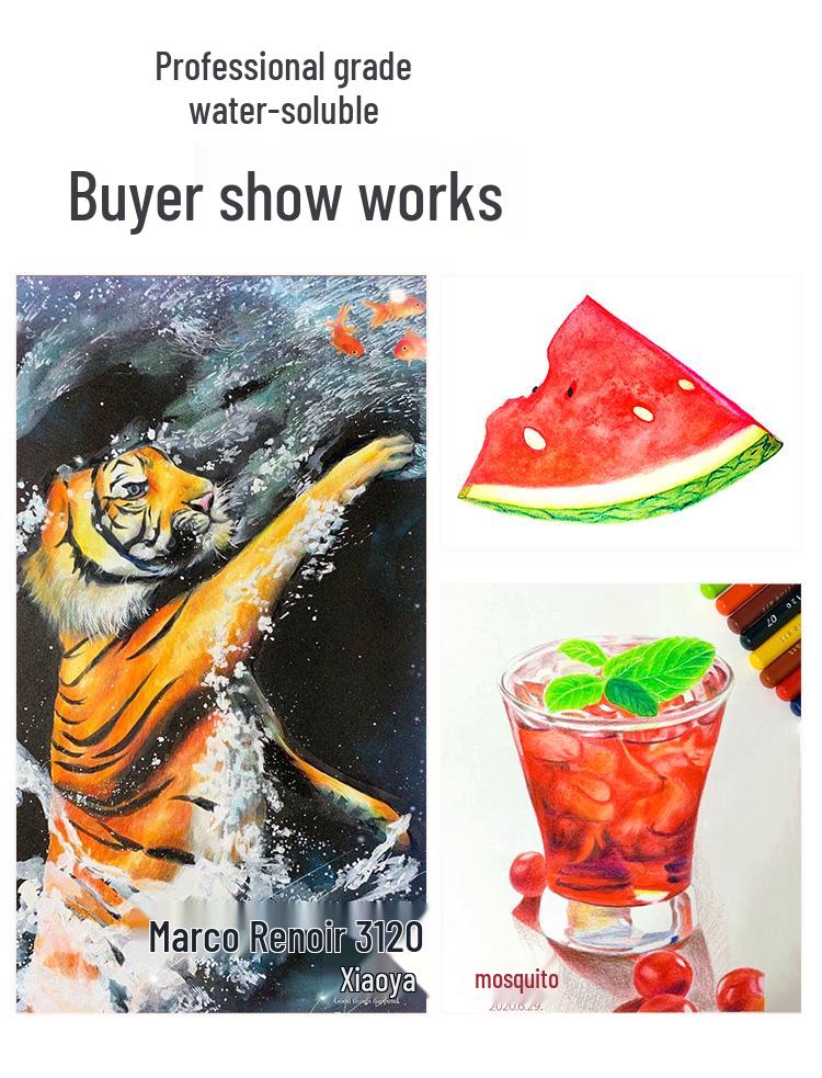 Marco Renoir Professionelle Buntstifte: 120 Ölbasierte & 72/36/48 Wasserlösliche Farben zum Zeichnen