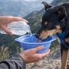 Doppelte Ohrschnalle Zusammenklappbare Hundeschüssel Große Kapazität Wasser-Futternapf Haustierfütterung