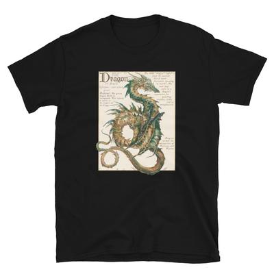 Üst giysisi – T-shirtler