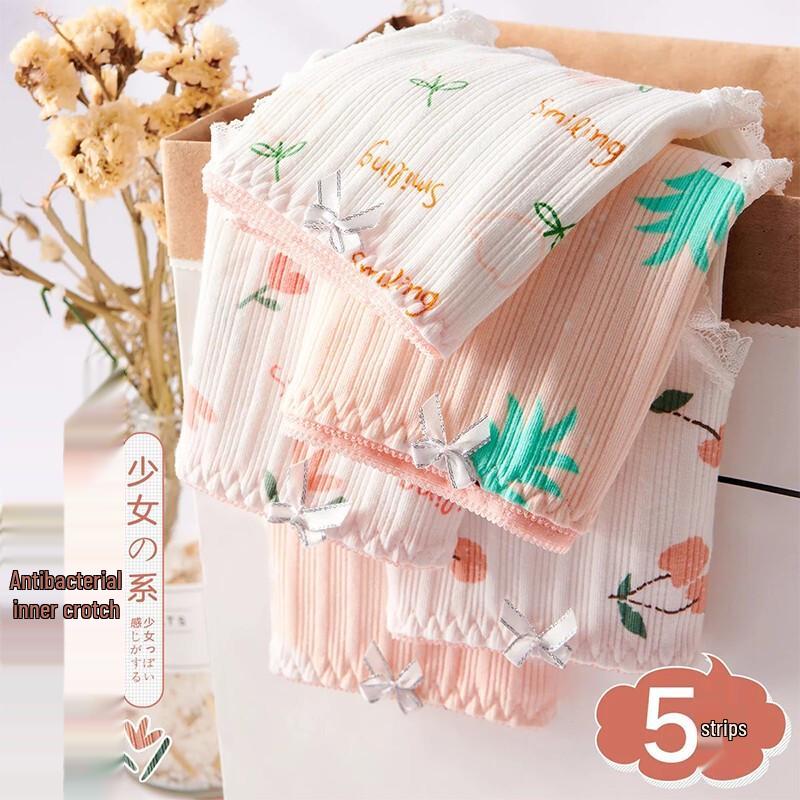 Langsha Women's 5-Pack Seamless Cotton Briefs