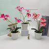 Two Realistic Branches Butterfly Orchid Green Plant Bonsai For Decor Indoor