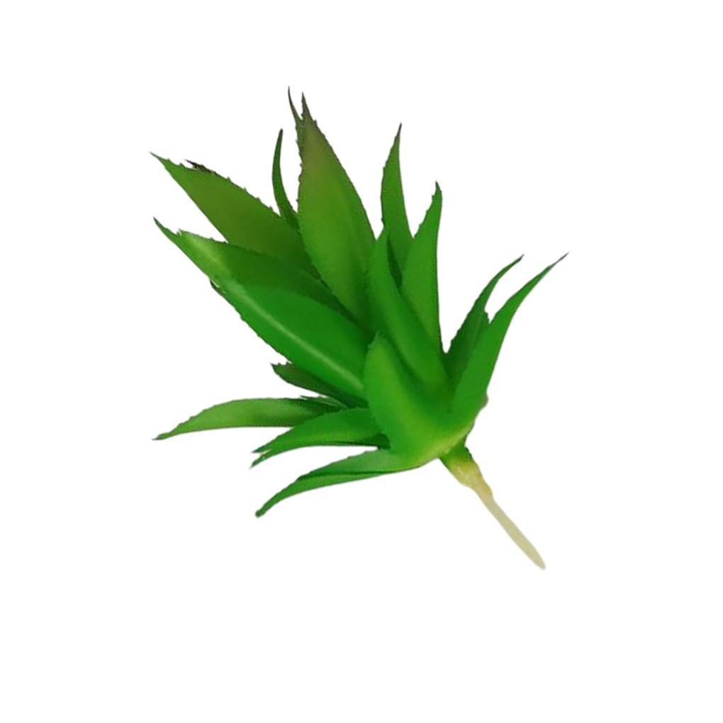 

Искусственное растение из АБС-пластика, нетоксичное и экологически чистое, безопасное для окружающей среды, искусственные суккуленты