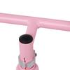 12" Kids Balance Bike No Pedal Bicycle EVA Tire Adjustable Seat Toddler Training Bike W/ Shock Absorber 2 - 5 Years Gift for Boys Girls Pink