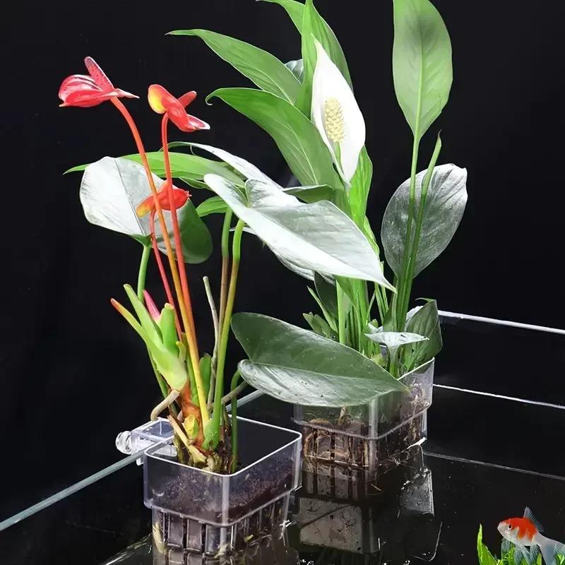 1 ΤΕΜ Υδροπονικό Κύπελλο Φύτευσης Οικιακό Κύπελλο Φύτευσης Υδρόβιων Φυτών Επιτοίχιο Υψηλής Διαφάνειας Διακόσμηση Τοπίου Ενυδρείου