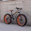 Adult Off-Road Mountain Bike with 4.0 Tires & Shock Absorption for Men, Women & Students