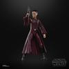 Hasbro Star Wars STAR WARS Black Series Star The Phantom Menace Collection 15 cm Action For ages 4 and up G0025 Genuine Product Padmé Amidala, Wars