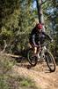 Continental Dubnital Race Rapid 29 X FB MTB Tire 2.20