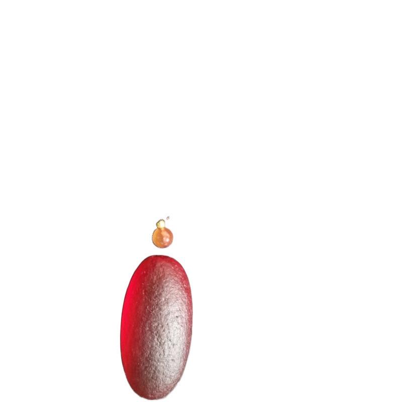 Korla Wüstenmeteorit Roter Energiestein Anhänger